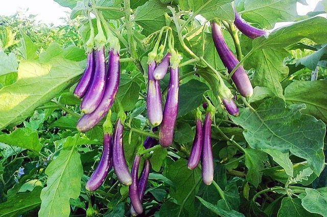 Image 02