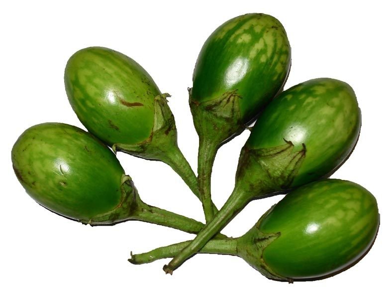 Image 06