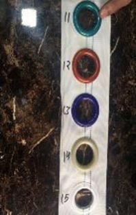 Eyelet Curtain Tape 02