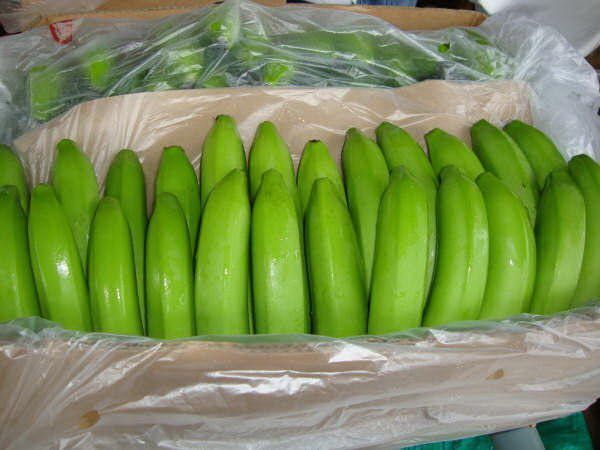 Fresh Banana 07