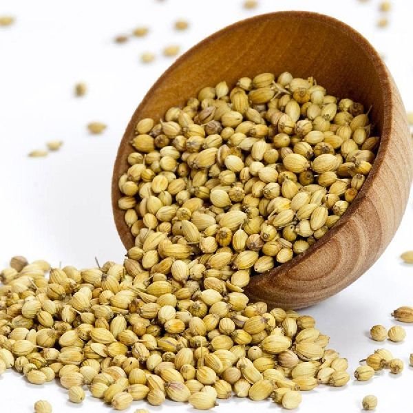 Coriander Seed 04