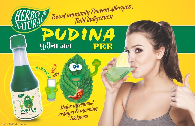 Pamphlet Printing & Designing Services 08