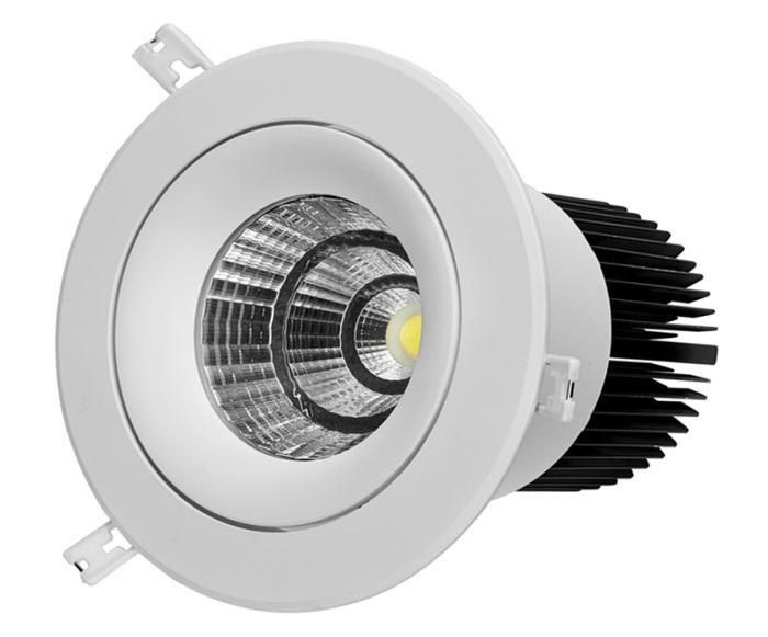 COB LED Downlight 04