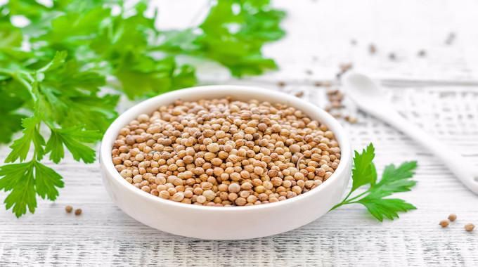 Coriander Seeds 05