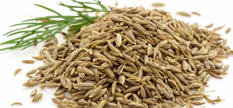 Cumin Seeds 02