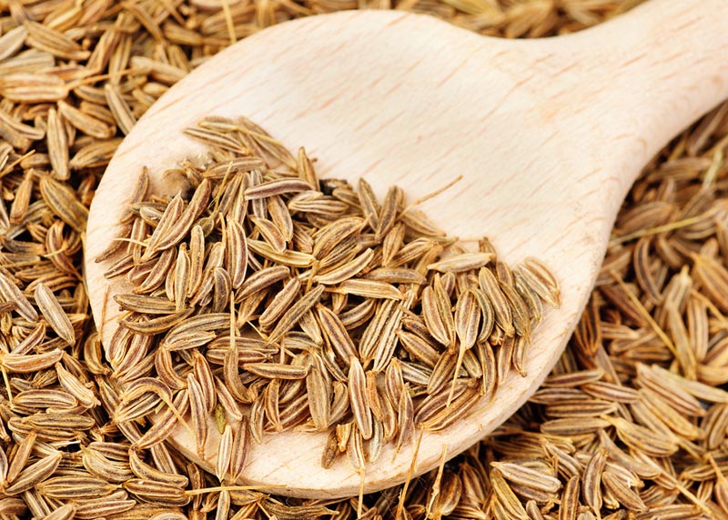 Cumin Seeds 03