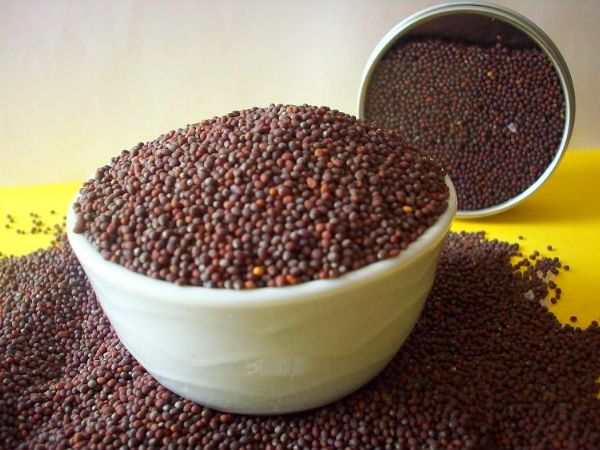 Mustard Seeds 02