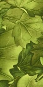 Decorative Laminates (459-HG)