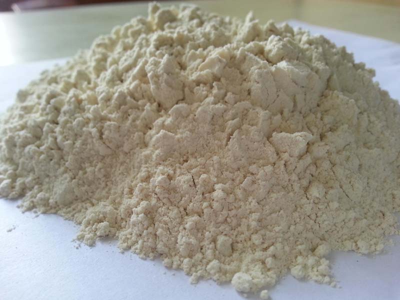 Dehydrated White Onion Powder 02