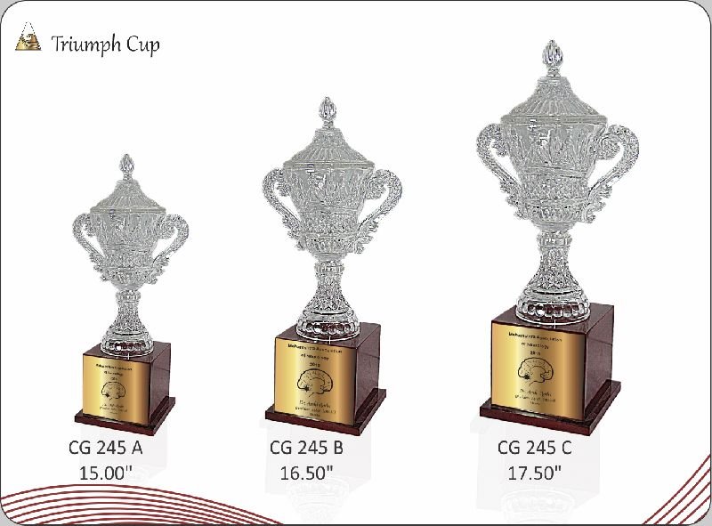 Crystal Trophy Whesalers In Mumbai