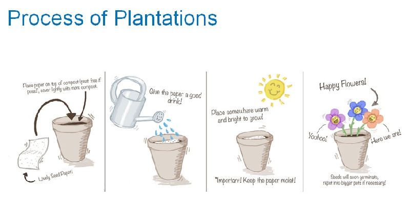 Plantable Paper In India