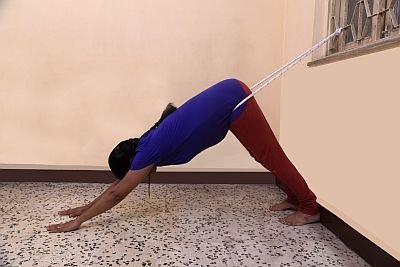 Yoga Courses 04