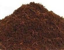 Sterlised Coco Peat