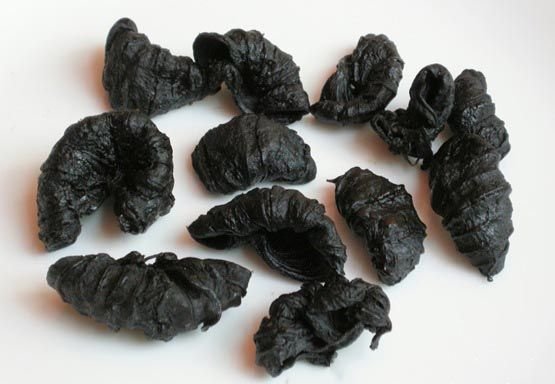 Garcinia Cambogia Black