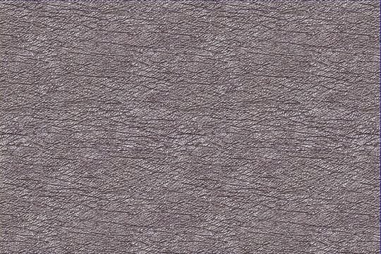 image 04