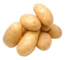 Fresh Potato