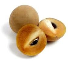 Fresh Sapota