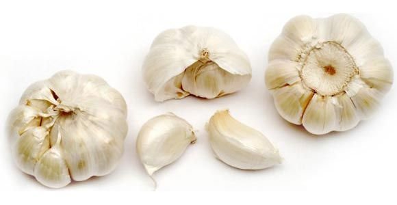 Fresh Garlic 01