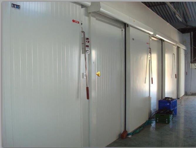 Walk in Cold Room 01