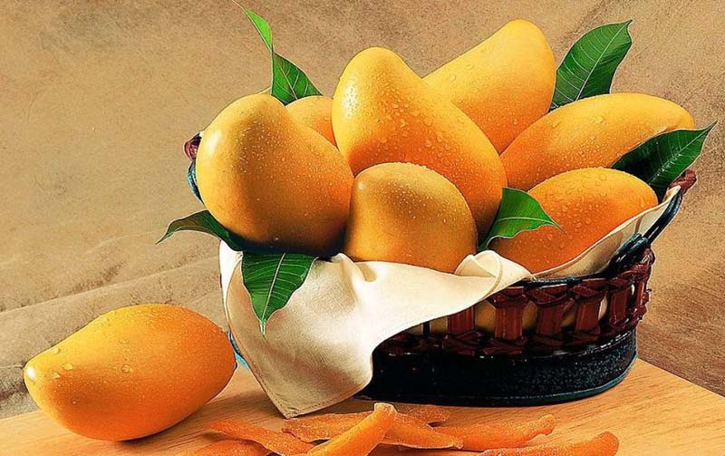 Indian Amrapali Mangoes