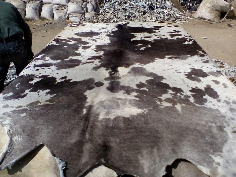 Item Code :HIDE HHC I