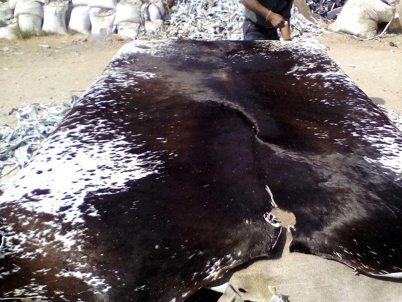 Item Code :HIDE HHC j