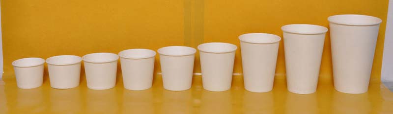 Disposable Paper Cup 01