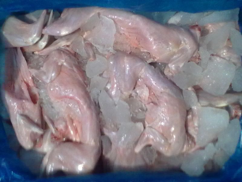 Rabbit Meat 01