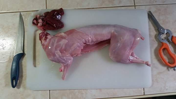 Rabbit Meat 02