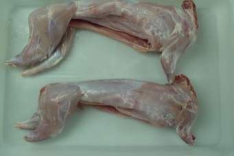 Rabbit Meat 11