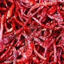 Dried Red Chilli 03
