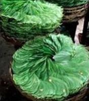 Fresh Betel Leave 01