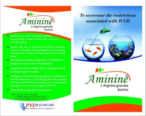 Aminine Leaflet Printing Service