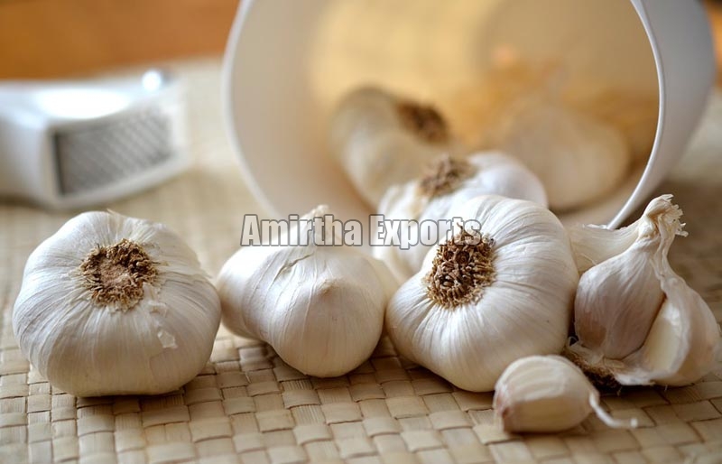 Fresh Garlic 01