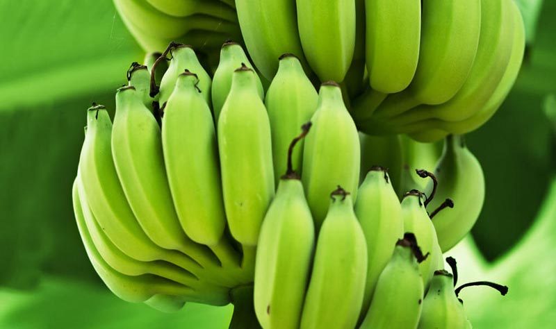 Green Banana