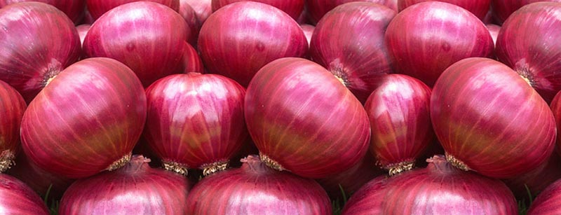 Red Onion