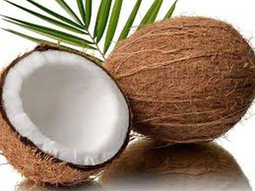 Fresh Coconut 01