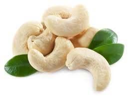 Cashew Nut 01