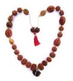 Siddha Rudraksha Mala 01