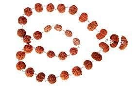 Siddha Rudraksha Mala 06