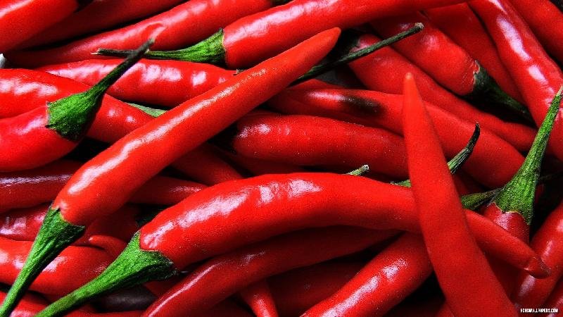 Fresh Red Chilli 02