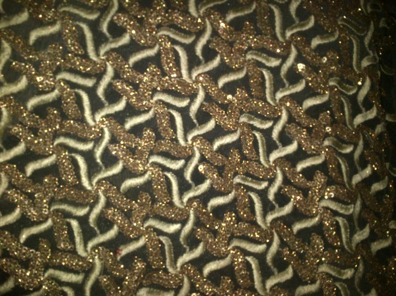 Sequin Embroidered Fabric 10
