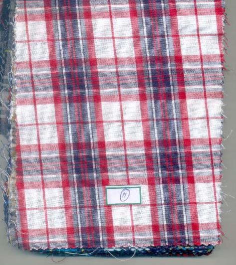 Check Cotton Fabric 09