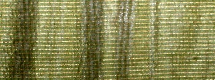 Textile Dyed Fabric 07