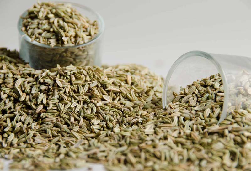 Fennel Seed 01