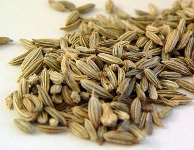 Fennel Seed 02
