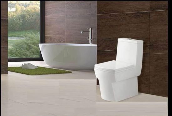 Taitan - 6010 - Water Closet