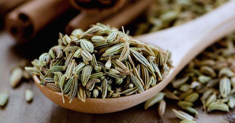 Fennel Seeds 01