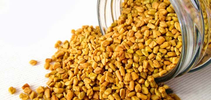 Fenugreek Seeds 02