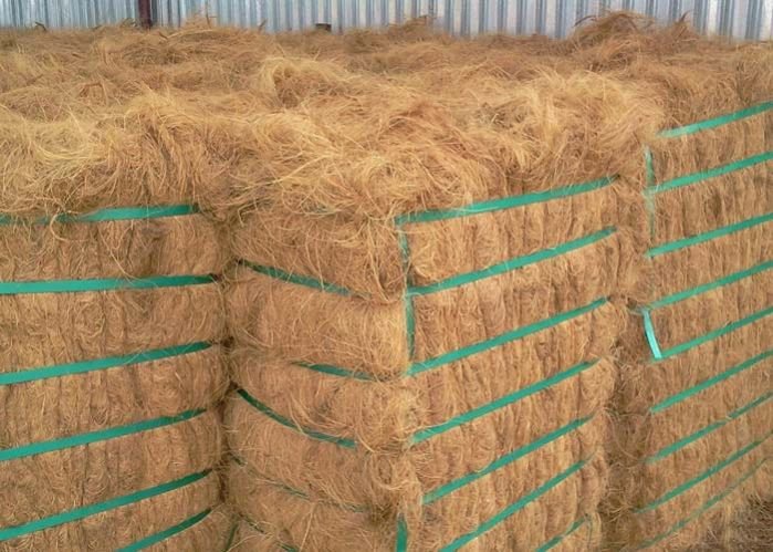 Coir Fiber 01